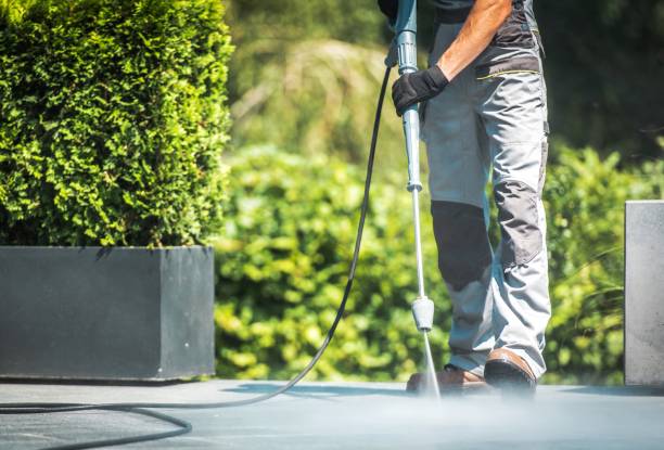 Best Dumpster Area Cleaning  in Zephyrhills, FL