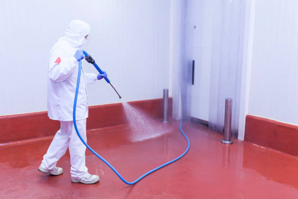 Best Sign and Awning Cleaning  in Zephyrhills, FL
