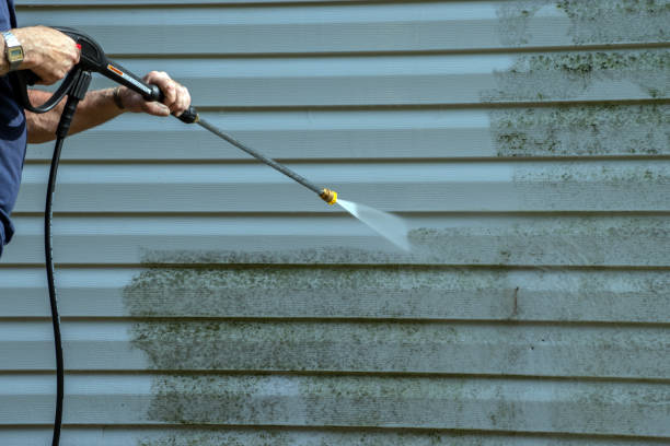 Best Gutter Cleaning  in Zephyrhills, FL