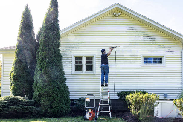 Best Sidewalk and Walkway Cleaning  in Zephyrhills, FL