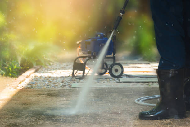 Best Graffiti Removal  in Zephyrhills, FL